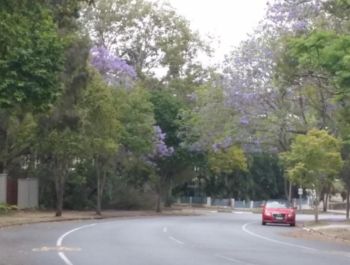 Jindalee great place for Driving School Instructor